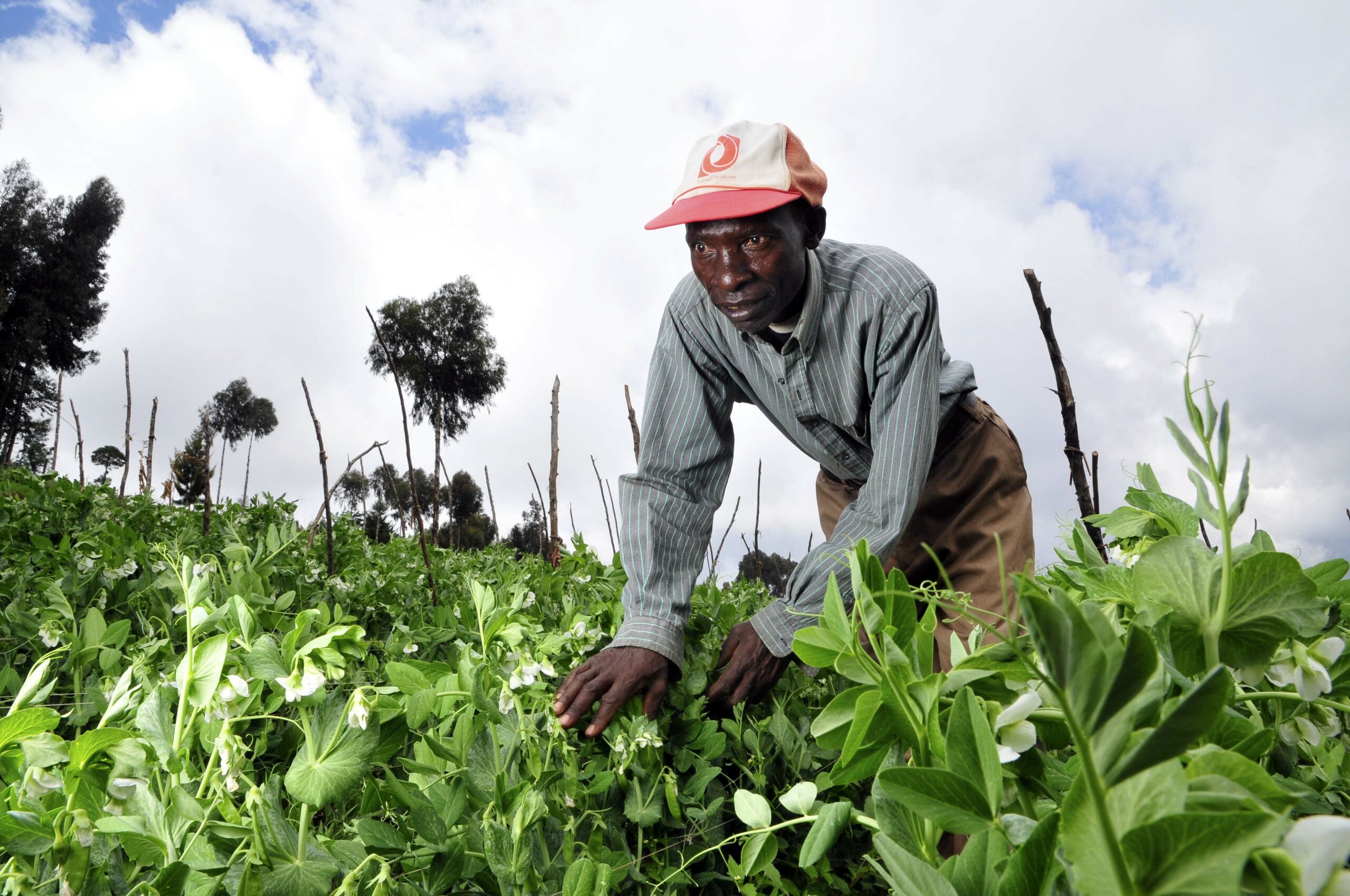 The world of work and volunteering: stress as a driving force?