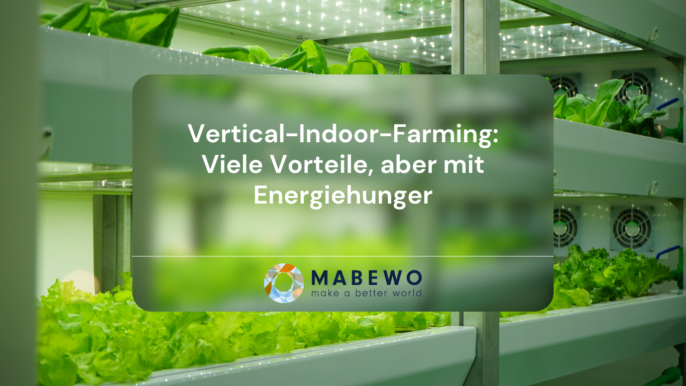 Mabewo AG - Energie in Indoor-Farming
