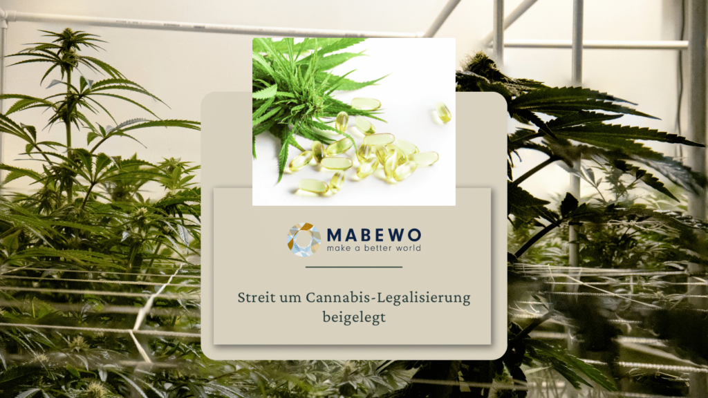 MABEWO - Cannabis Streit